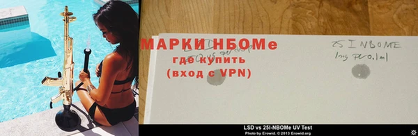 мяу мяу мука Абаза
